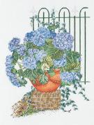 Ortensia Blu