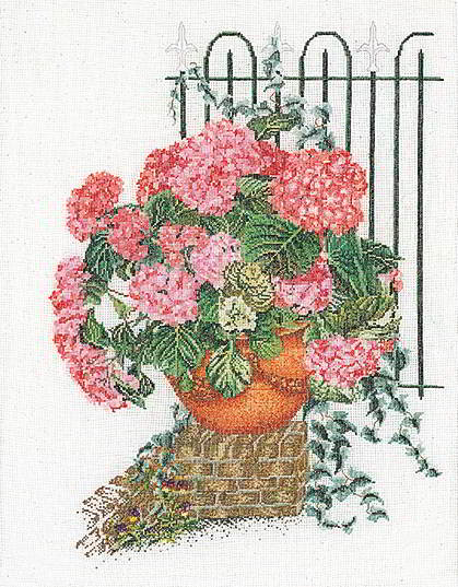 Ortensia Rosa