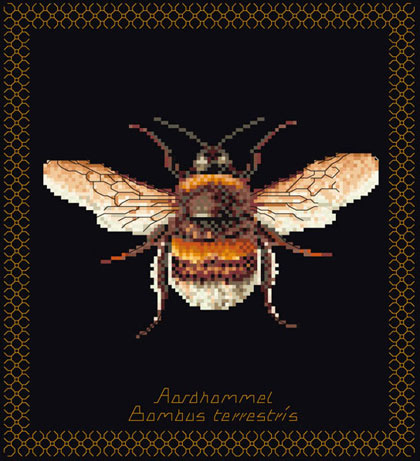 Bumble Bee - Nero