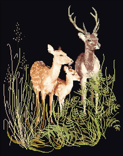 Deer Family - Nero