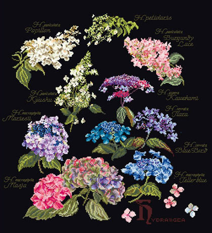 Hydrangea Panel - Nero