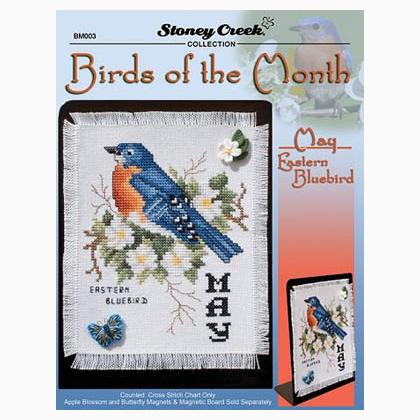 Birds Of The Month-May (Eastern Bluebird)