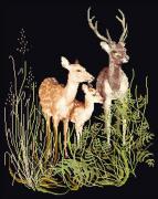 Deer Family - Nero