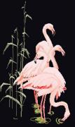 Flamingo - Nero