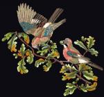 Jays - Nero