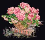 Ortensia Rosa - Nero