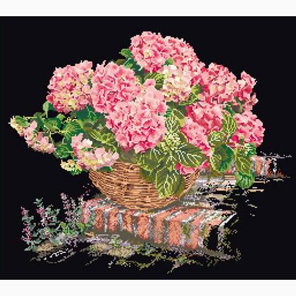 Ortensia Rosa - Nero