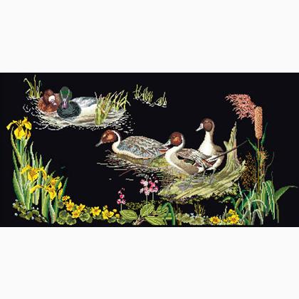 Ducks - Nero