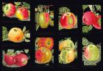 Apples - Nero