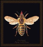 Honey Bee - Nero