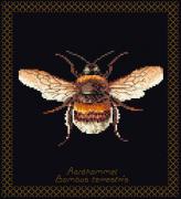 Bumble Bee - Nero