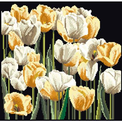 Tulips - Nero