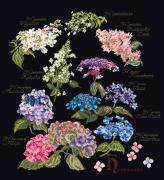 Hydrangea Panel - Nero