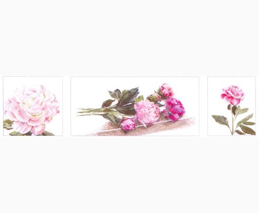 Peonie - Aida