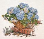 Ortensia Blu II - Aida