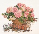 Ortensia Rosa II - Aida