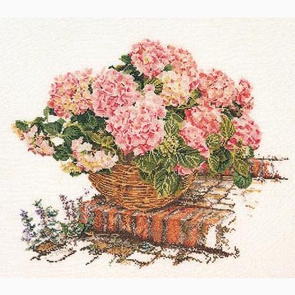 Ortensia Rosa II - Aida