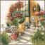Terrace in Autumn Bloom