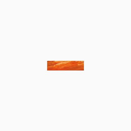 Rafia lucida - Arancio