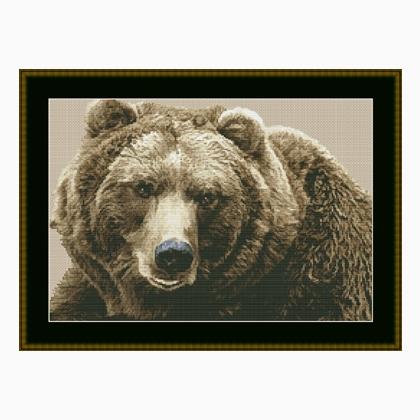 Brown Bear