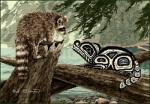 Raccoons