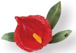 Sizzix Thinlits Die Set 5PK - Fiore, Anthurium