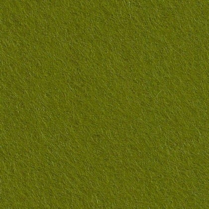 Feltro Lichen