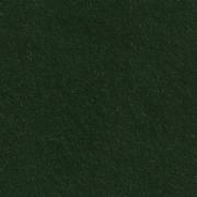 Feltro Vert Bouteille
