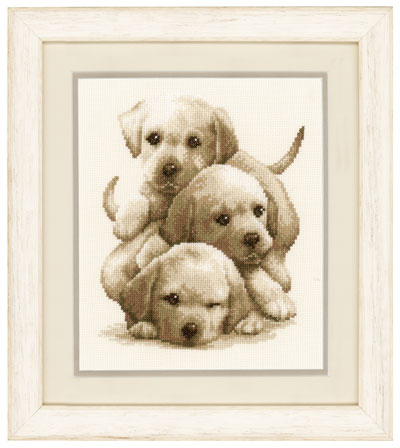 Cuccioli di Labrador