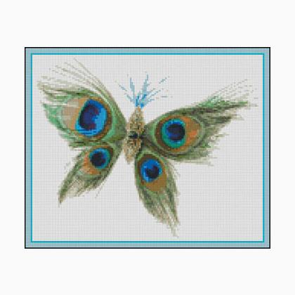 Peacock Butterfly