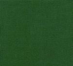Aida 55 (14ct.) Christmas Green