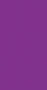 Cartoncino DL Simple - Viola doppio