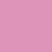 Busta B6 - Rosa