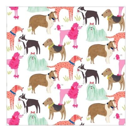 Foglio cartoncino Dog Breeds 30 x 30 cm