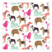 Foglio cartoncino Dog Breeds 30 x 30 cm