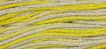 WDW 2216 Citron