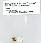 Seasonal Celebrations-Summer Btn Pk (9993)