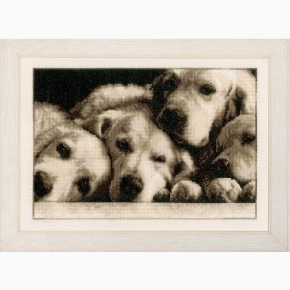 Quattro Golden Retriever stanchi