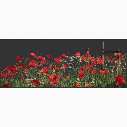 Poppies - Nero