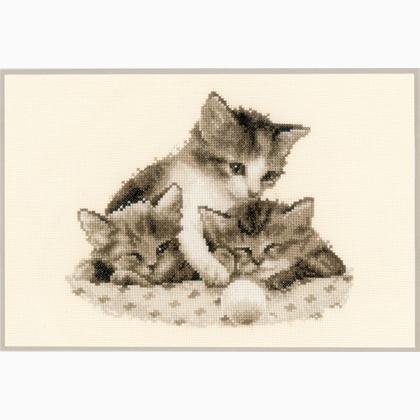 Gattini