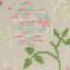 DMC Coloris - Fleurs des champs 4501