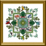 The Rainforest Mandala