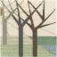 Forrest 3
