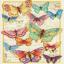 Butterfly Beauty