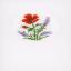 Biglietti di auguri: Flowers & Lavender