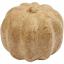 Zucca