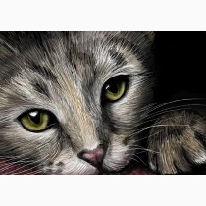 Cats Eyes