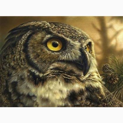 Watchful Owl