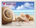 Seashells on the shore