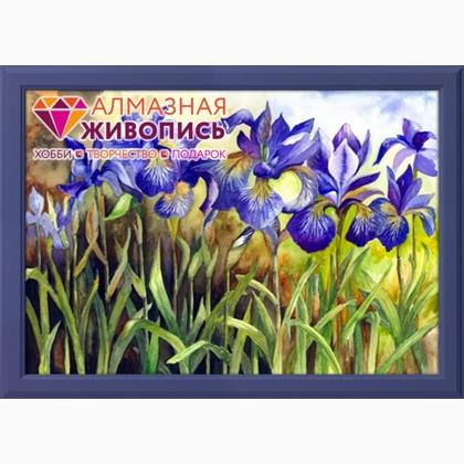 Blue Irises